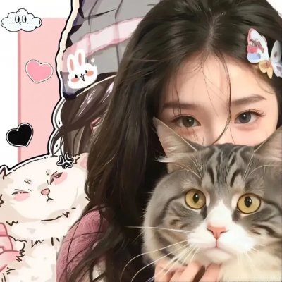 猎鹰计划